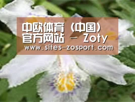 产品名称二