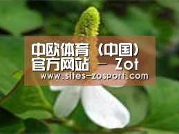 产品名称三
