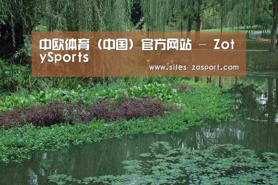 案例展示一
