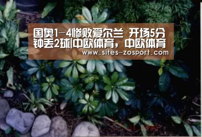 国奥1-4惨败爱尔兰 开场5分钟丢2球|中欧体育,中欧体育app,中欧体育官网,中欧体育官网入口(图2) 中欧体育,中欧体育app,中欧体育官网,中欧体育官网入口