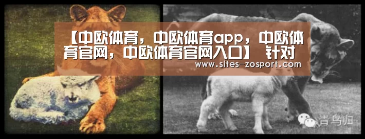 中欧体育，中欧体育app，中欧体育官网，中欧体育官网入口