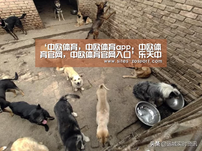‘中欧体育，中欧体育app，中欧体育官网，中欧体育官网入口’乐天中国官网已瘫痪两