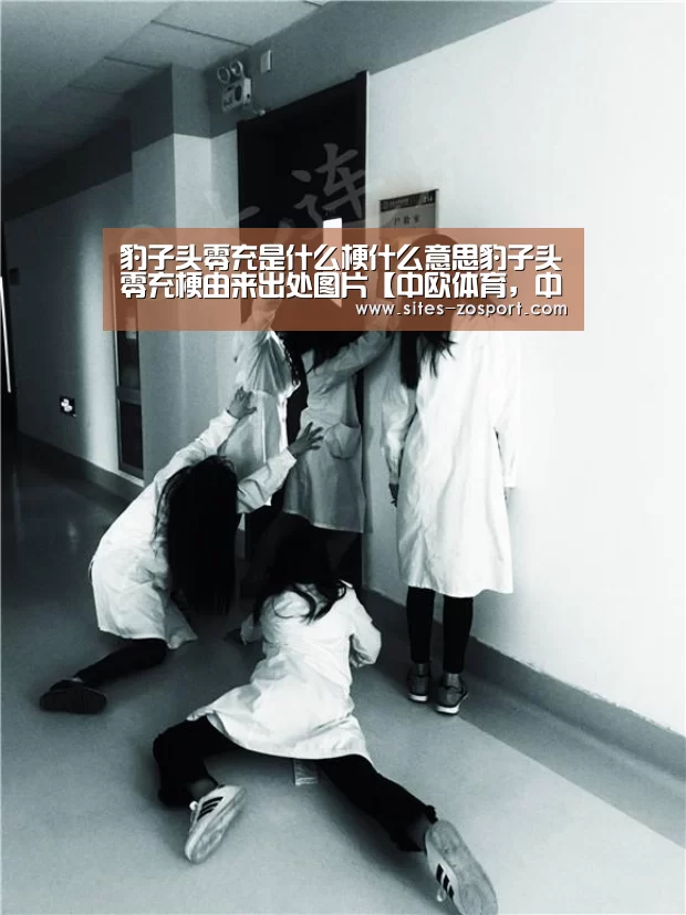 豹子头零充是什么梗什么意思豹子头零充梗由来出处图片【中欧体育，中欧体育app，中