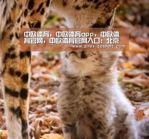 中欧体育,中欧体育app,中欧体育官网,中欧体育官网入口:北京环球影城正式命名为“北京环球度假区”(图3) 中欧体育,中欧体育app,中欧体育官网,中欧体育官网入口