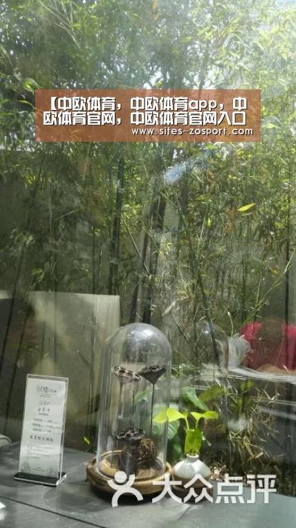 【中欧体育,中欧体育app,中欧体育官网,中欧体育官网入口】约基奇16+14+9唐斯六犯 卡位战掘金力擒森林狼(图1) 中欧体育,中欧体育app,中欧体育官网,中欧体育官网入口