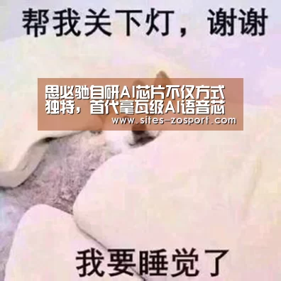 思必驰自研AI芯片不仅方式独特，首代毫瓦级AI语音芯片也仅用1年：中欧体育，中欧